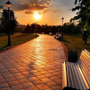 中文字幕乱人伦视频在线
