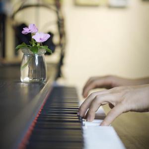 中文字幕乱人伦视频在线
